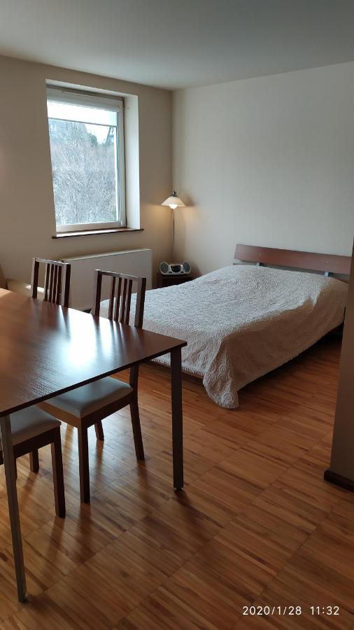 Zawoja1560 Apartamenty Przy Aptece מראה חיצוני תמונה